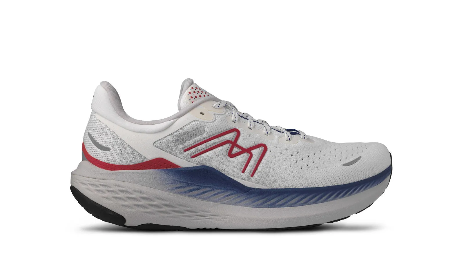 MEN'S MESTARI RUN 1.5 - LONE STAR