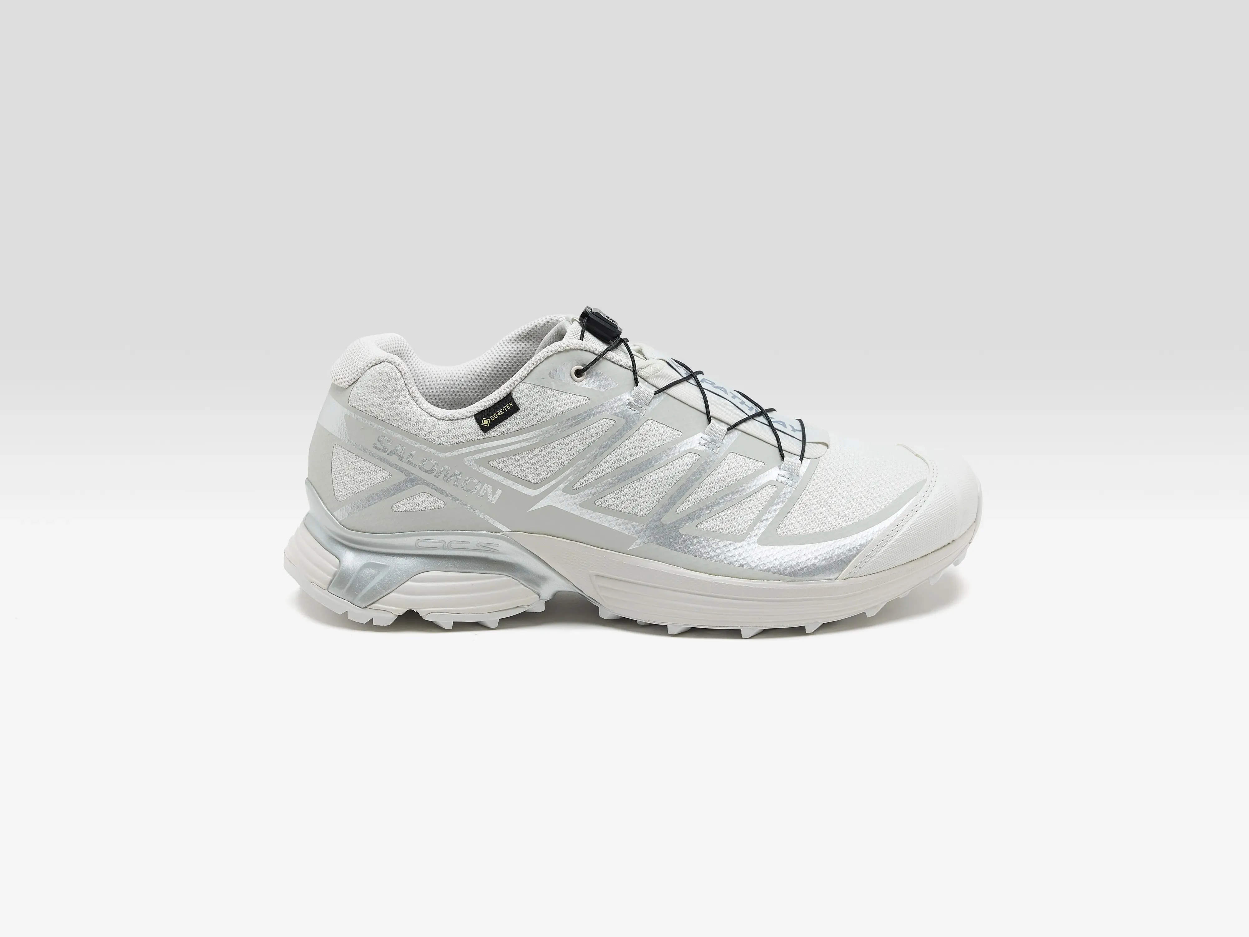 XT-Pathway Gore-Tex for Men (251 / M / WHITE)